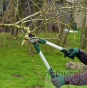 Bosch 06008B5100 Uzun Kollu Budama Makası 560 mm