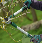 Bosch 06008B5100 Uzun Kollu Budama Makası 560 mm